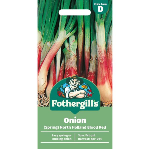 Kevätsipuli, Salaattisipuli